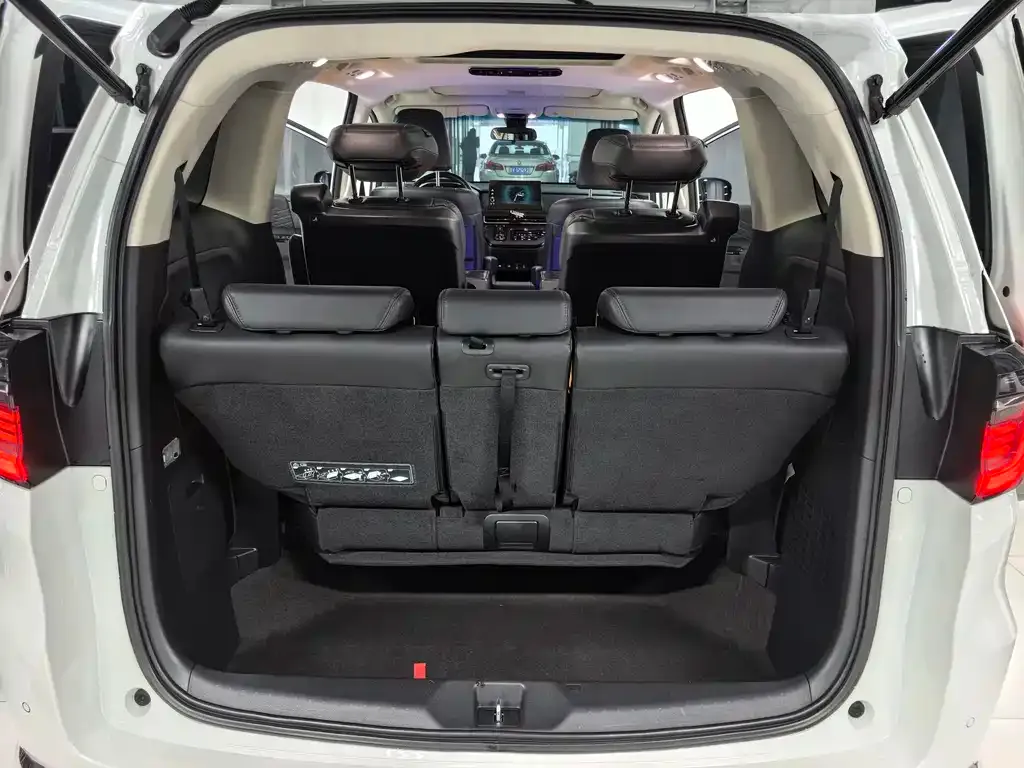 Honda Elysion 2022 из CN, фото 10