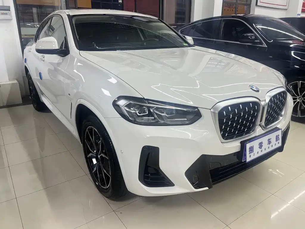 BMW X4 2022 из CN, фото 8