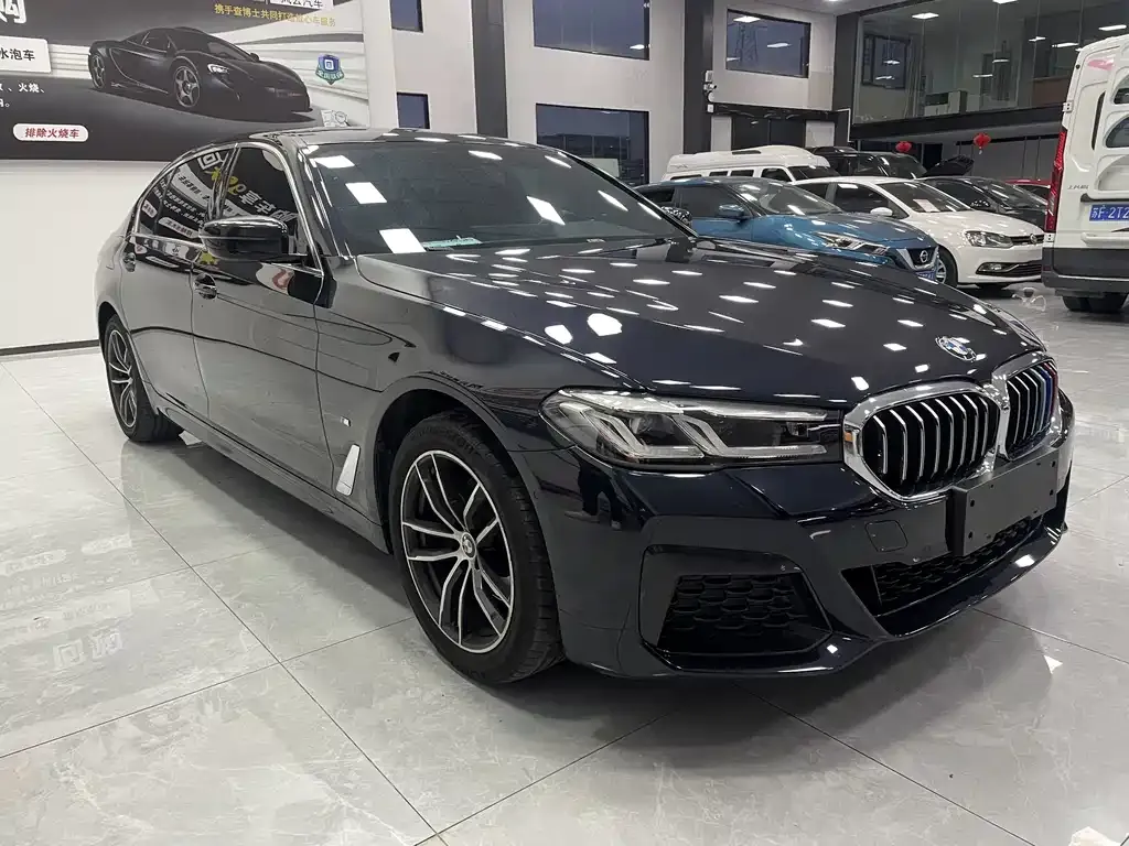 BMW 5 Series 2023 из CN, фото 6