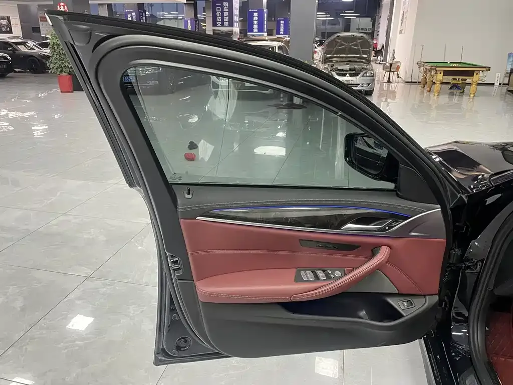 BMW 5 Series 2023 из CN, фото 7