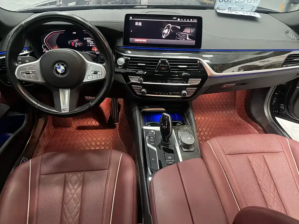 BMW 5 Series 2023 из CN, фото 10