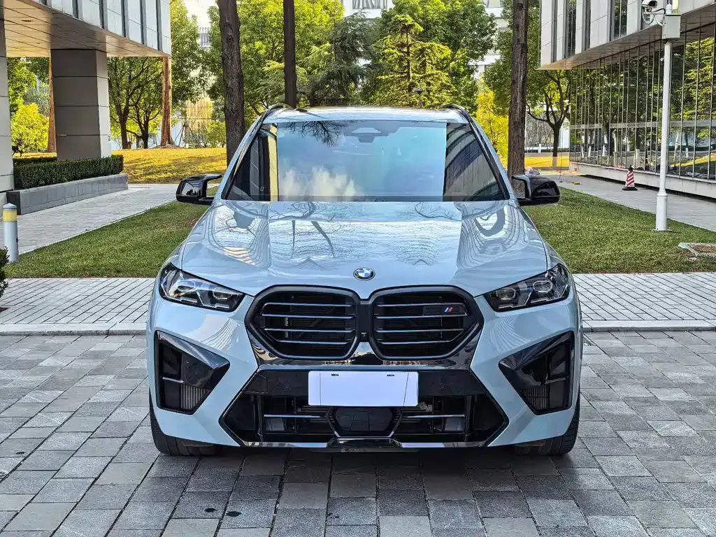BMW X5 M 2023 из CN, фото 10