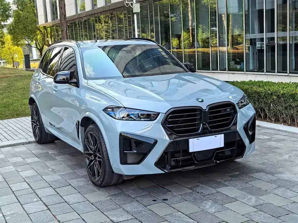 BMW X5 M 2023 из CN, фото 9