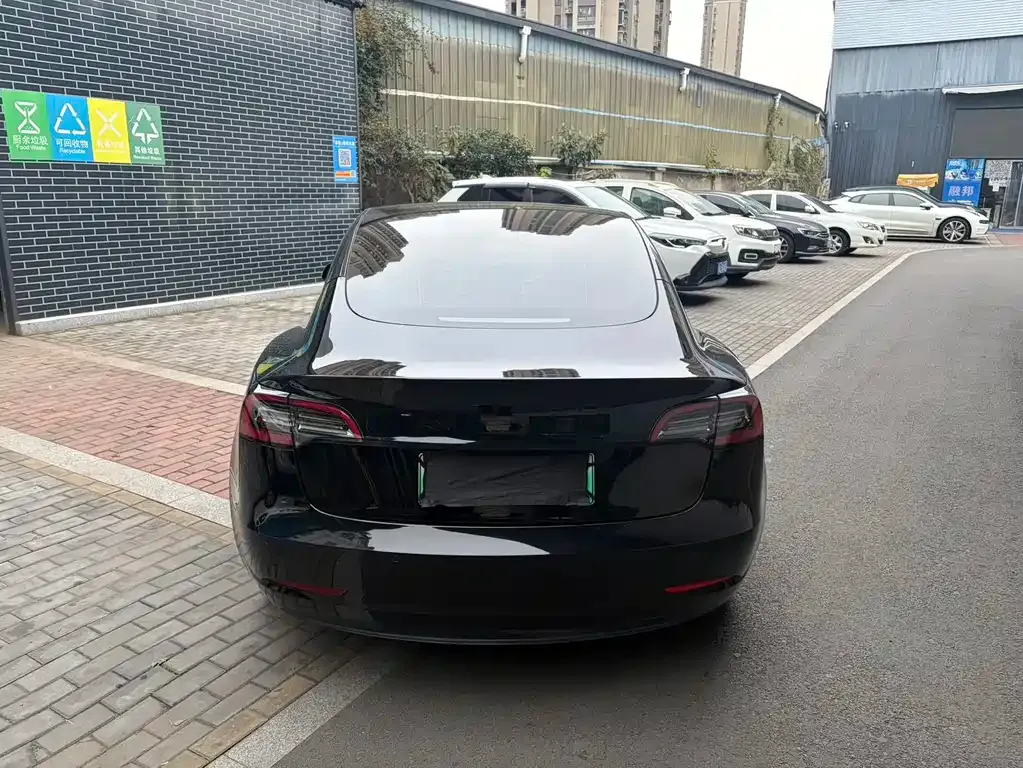 Tesla Model 3 2023 из CN, фото 6