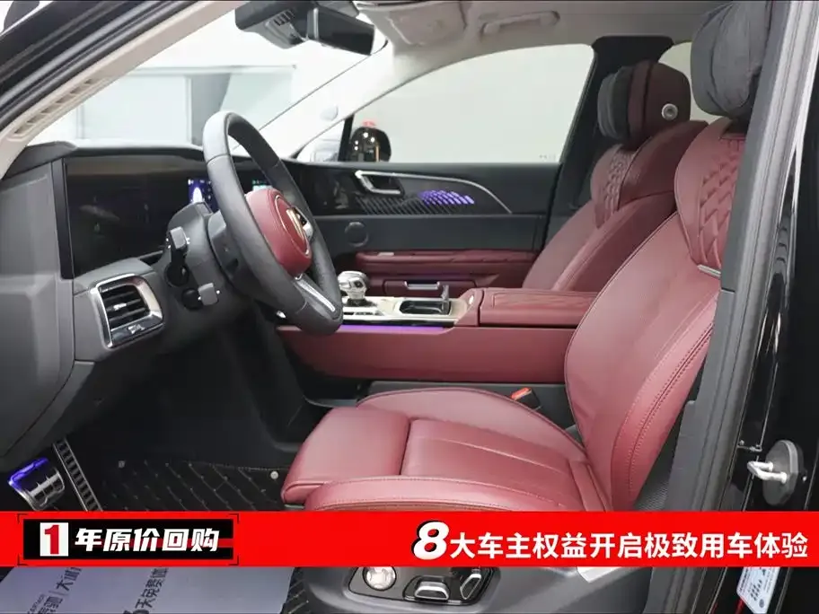 Hongqi E-HS9 2023 из CN, фото 4