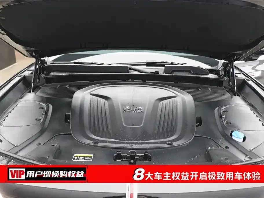 Hongqi E-HS9 2023 из CN, фото 9