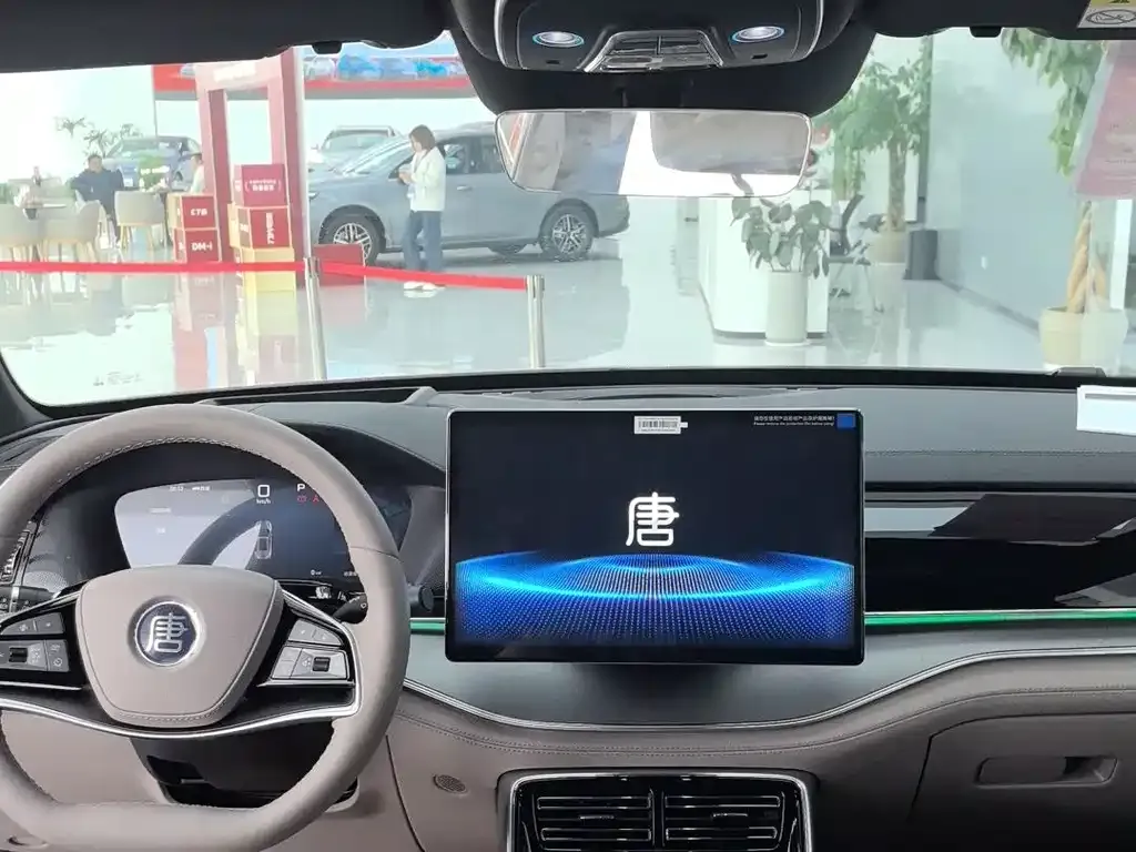 BYD Tang New Energy 2025 из CN, фото 8