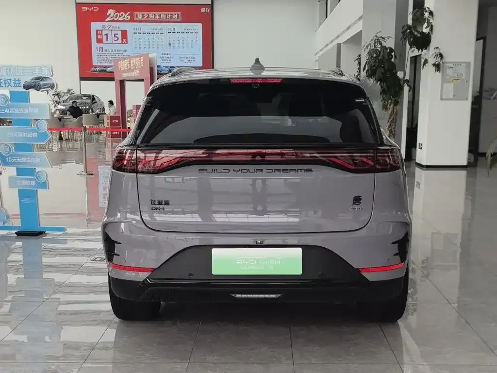 BYD Tang New Energy 2025 из CN, фото 2