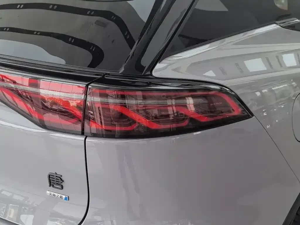 BYD Tang New Energy 2025 из CN, фото 7