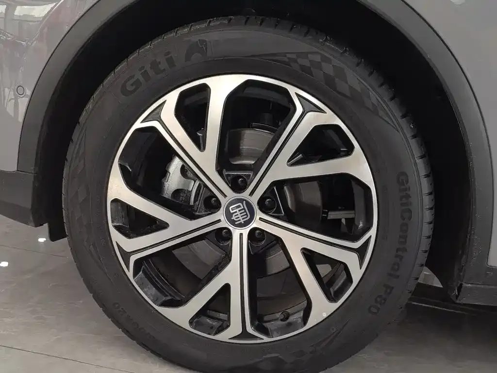 BYD Tang New Energy 2025 из CN, фото 9
