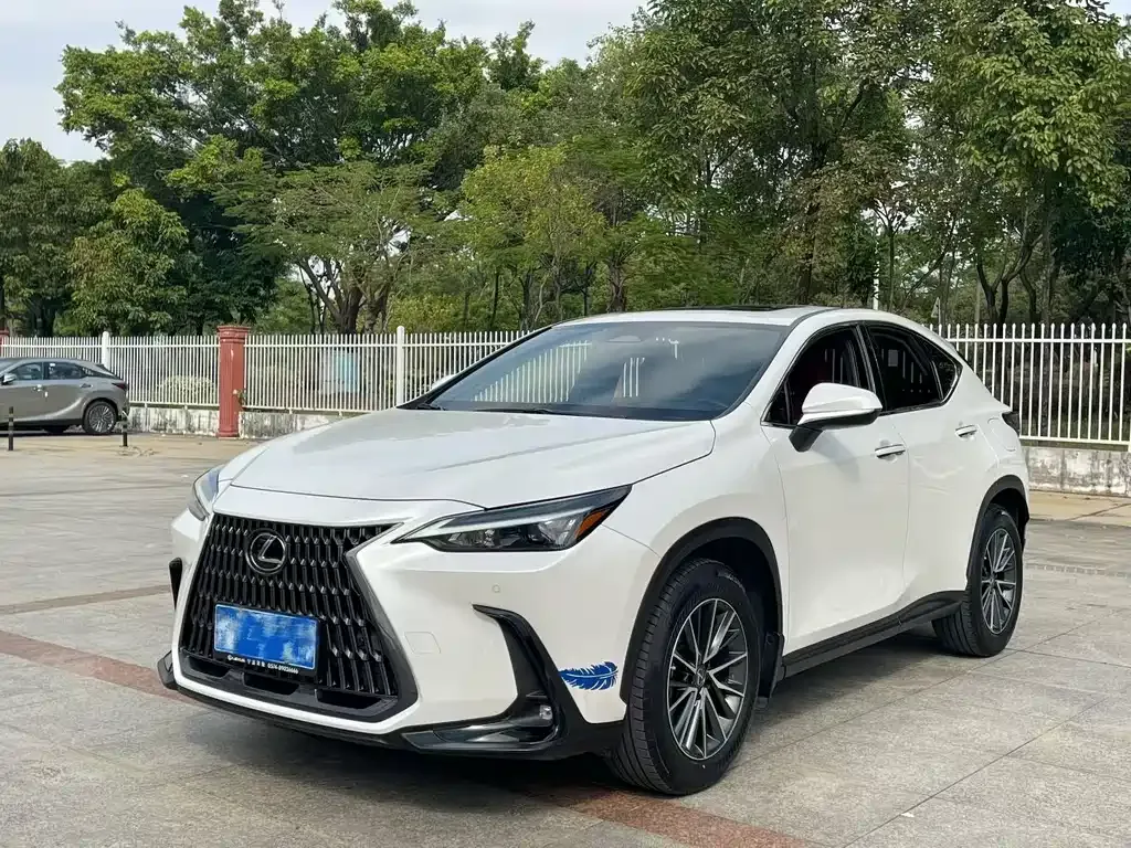 Lexus NX 2023 из CN, фото 1