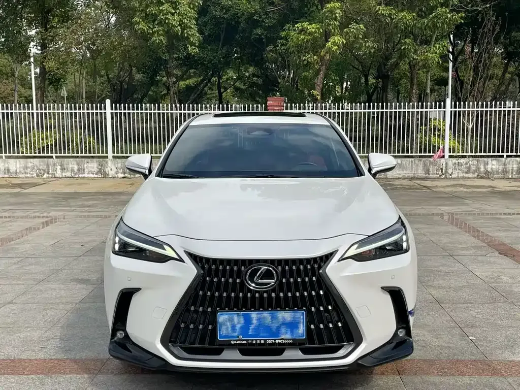 Lexus NX 2023 из CN, фото 7