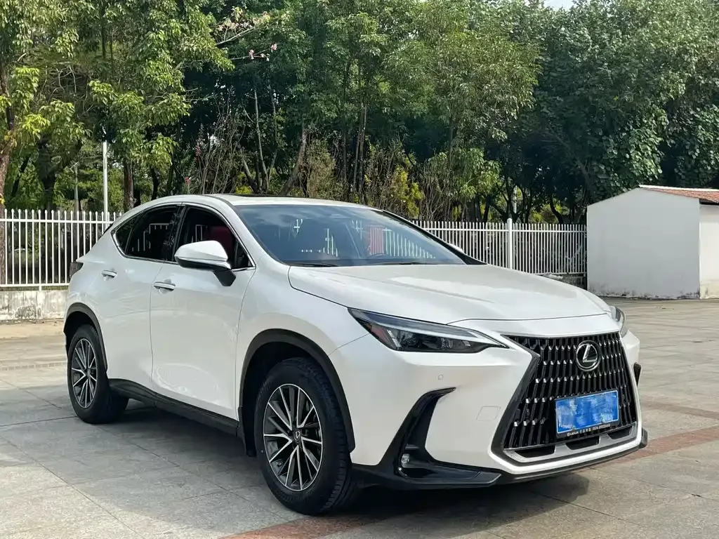 Lexus NX 2023 из CN, фото 5