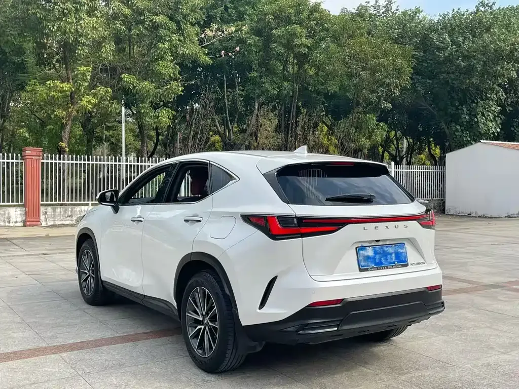 Lexus NX 2023 из CN, фото 9