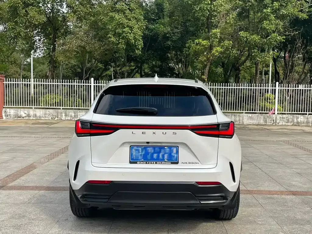 Lexus NX 2023 из CN, фото 6
