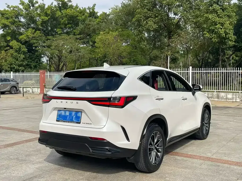 Lexus NX 2023 из CN, фото 8