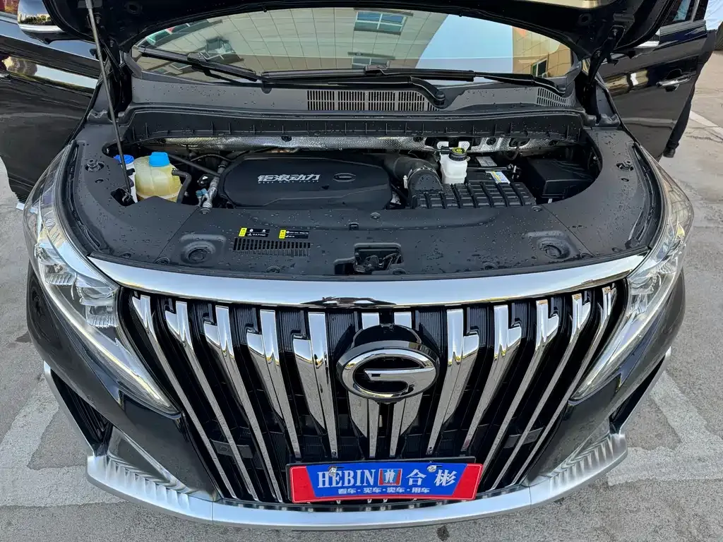 GAC Motor Trumpchi M8 — фото 10