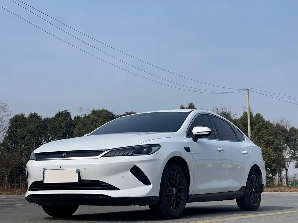 BYD Qin PLUS 2025 из CN, фото 1
