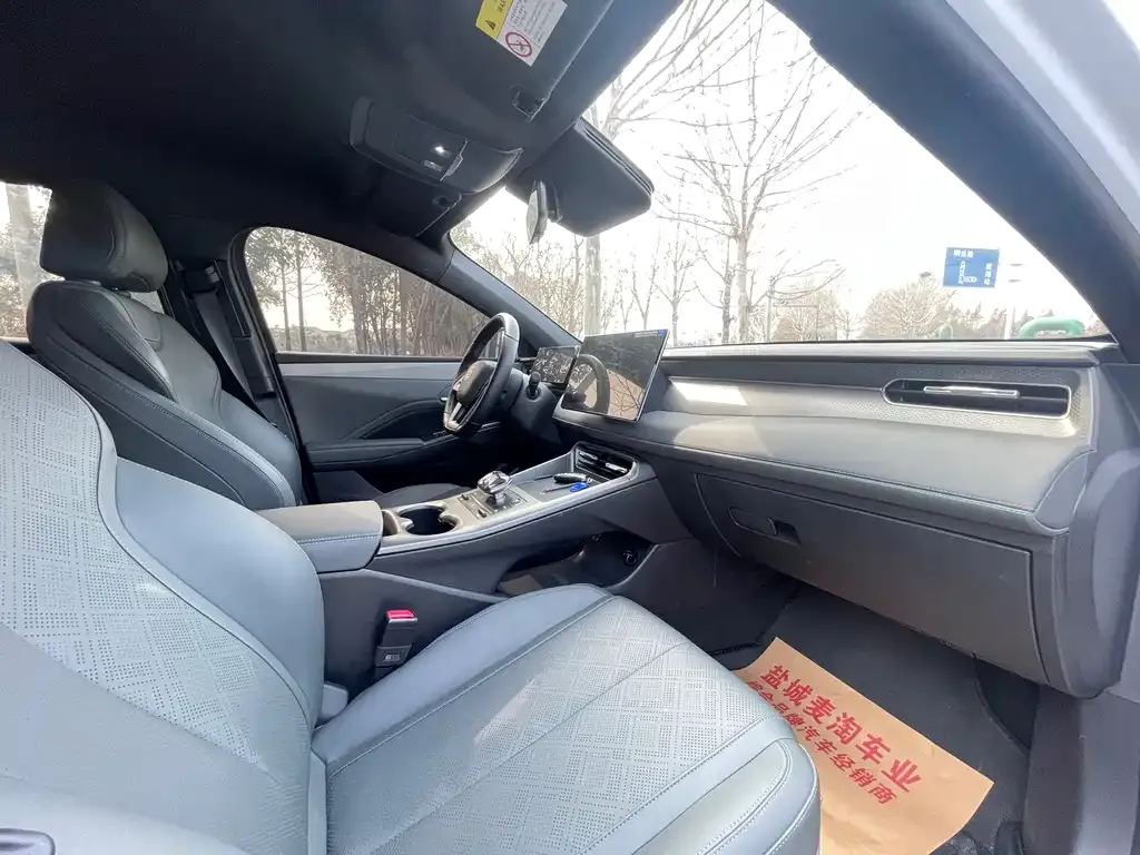 BYD Qin PLUS 2025 из CN, фото 4