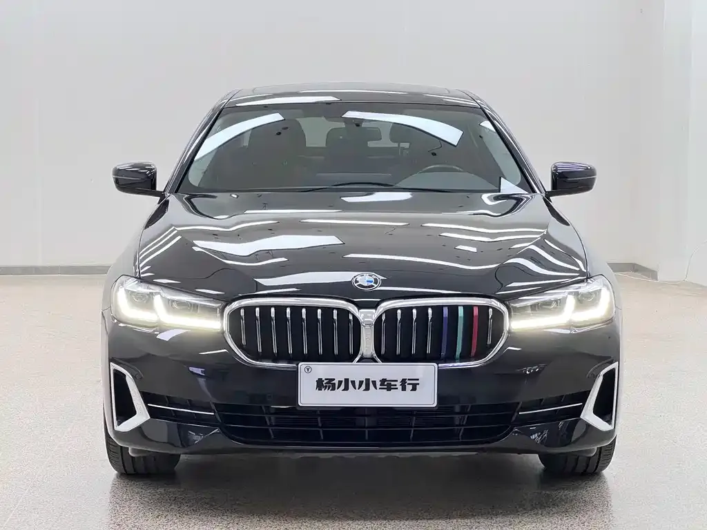 BMW 5 Series 2021 из CN, фото 1