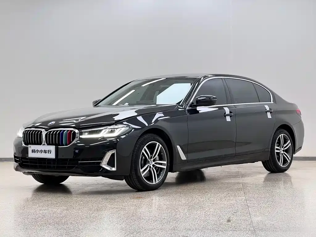 BMW 5 Series 2021 из CN, фото 7