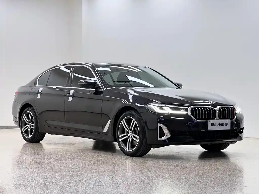 BMW 5 Series 2021 из CN, фото 6