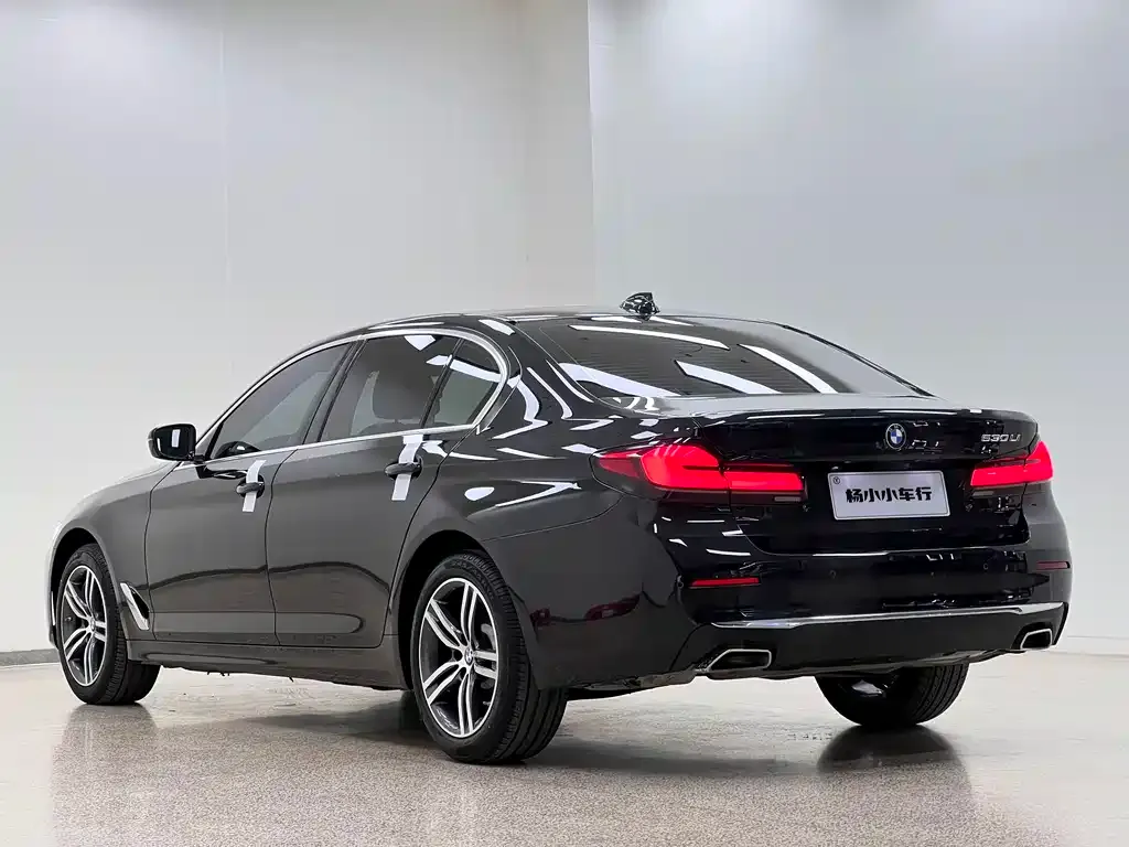 BMW 5 Series 2021 из CN, фото 10
