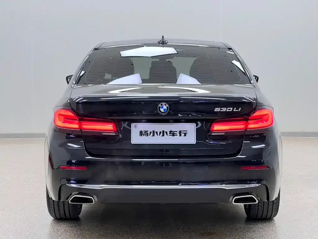 BMW 5 Series 2021 из CN, фото 9