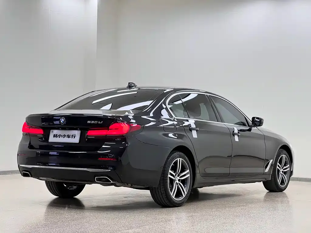 BMW 5 Series 2021 из CN, фото 3