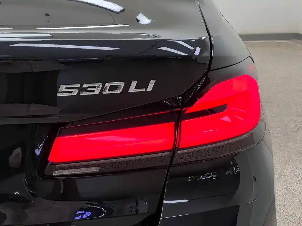 BMW 5 Series 2021 из CN, фото 2