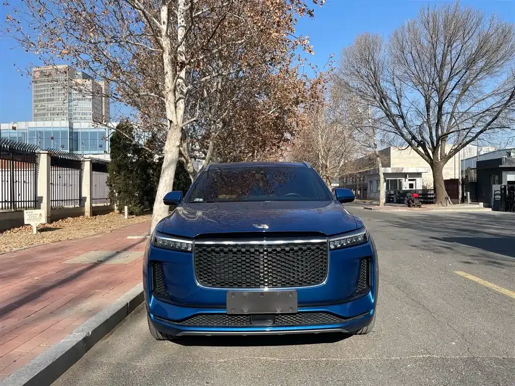 Li Auto ONE 2021 из CN, фото 9