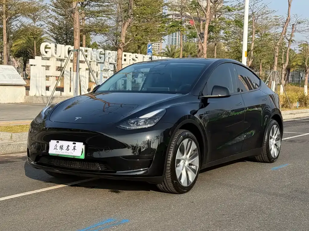 Tesla Model Y 2023 из CN, фото 1