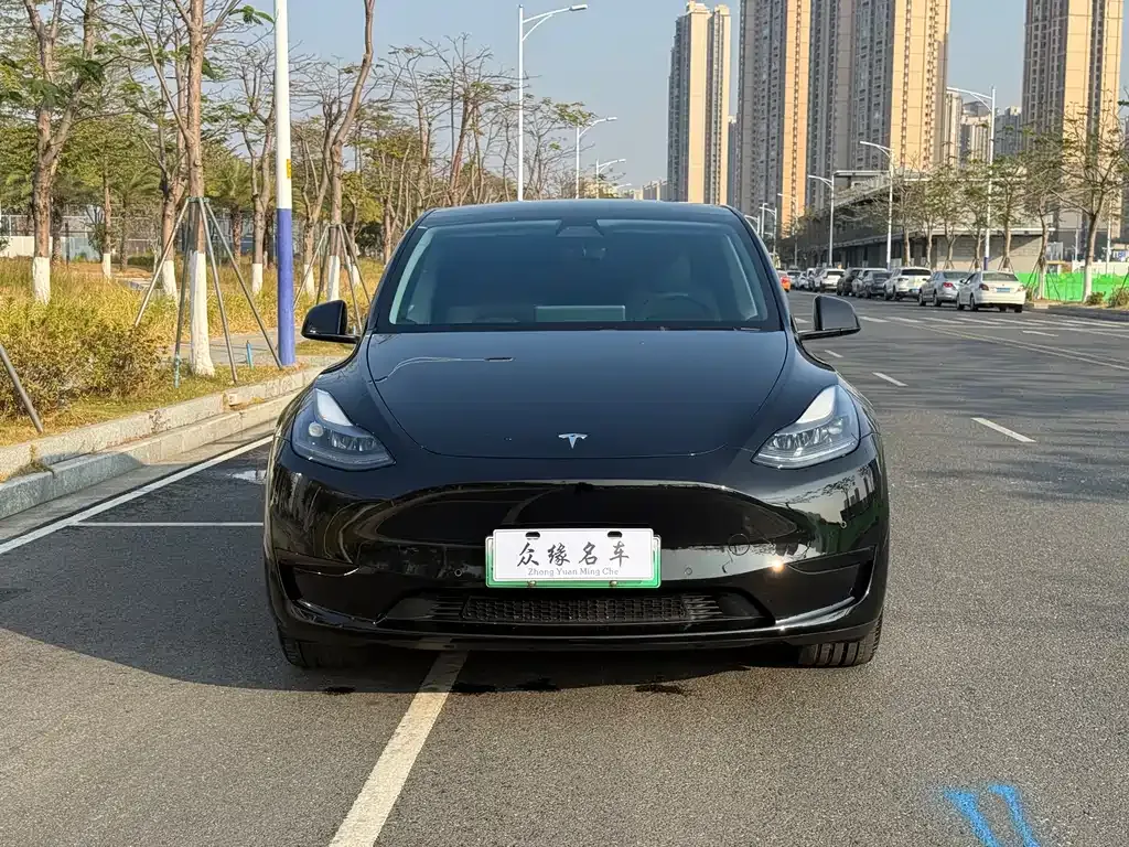 Tesla Model Y 2023 из CN, фото 5