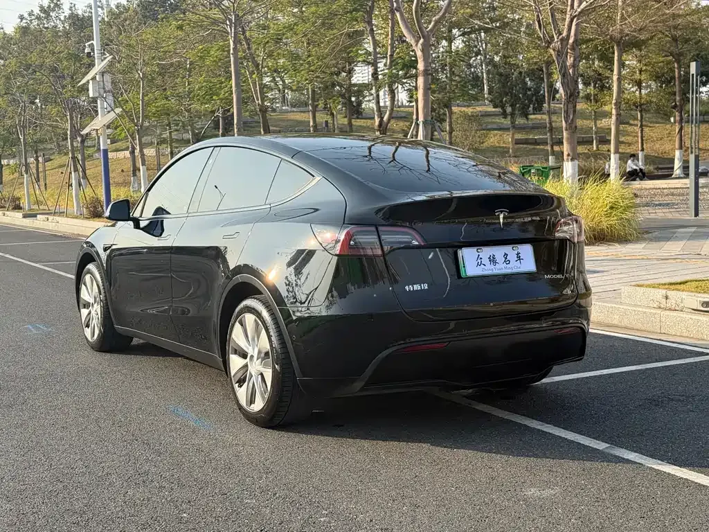 Tesla Model Y 2023 из CN, фото 10
