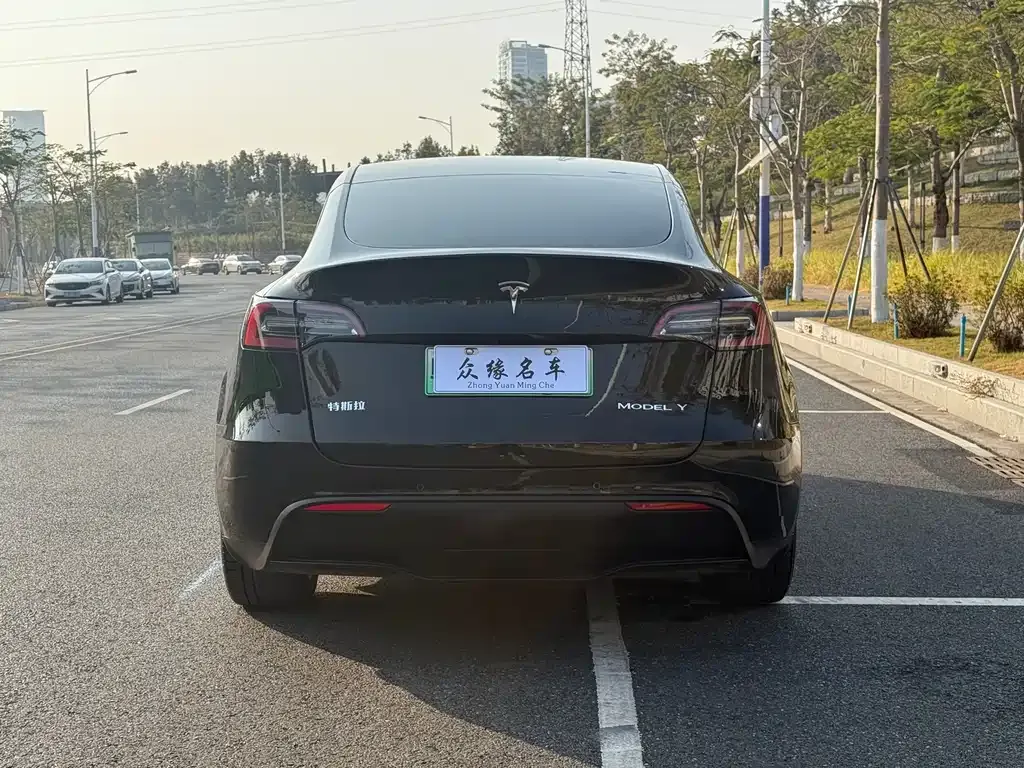 Tesla Model Y 2023 из CN, фото 8