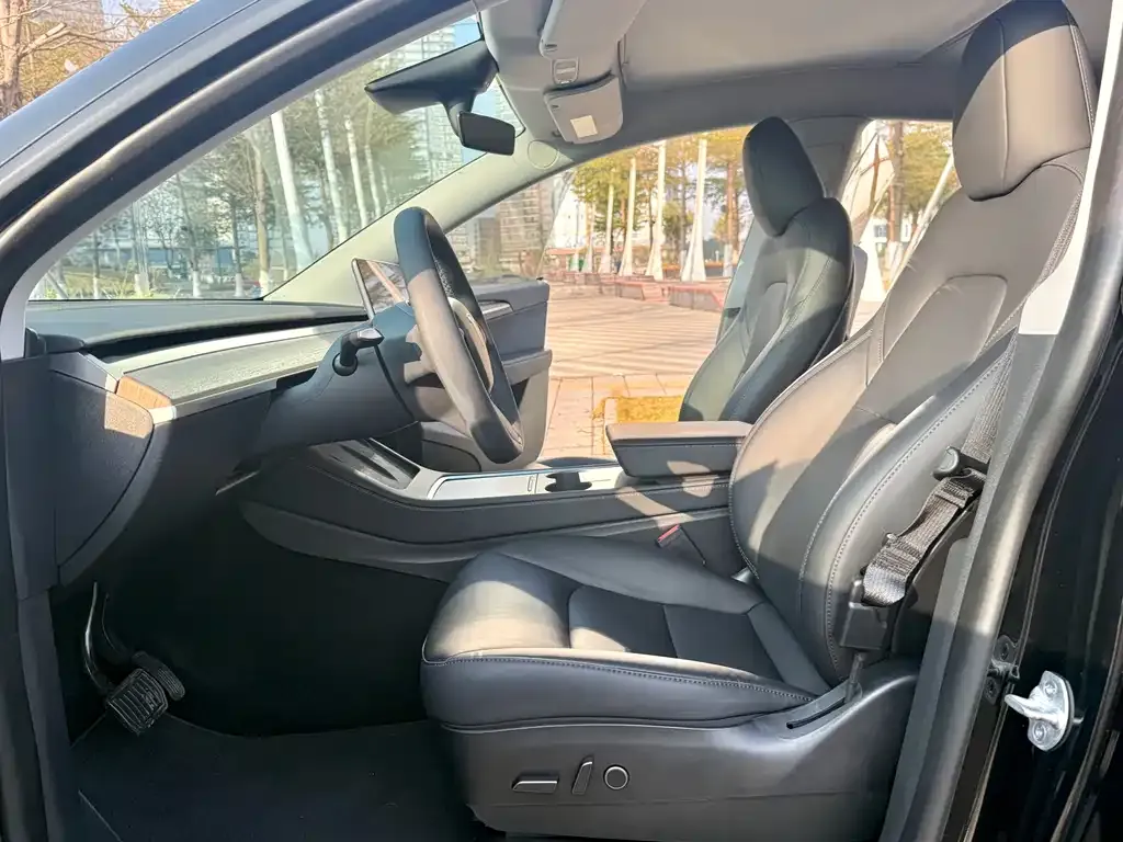 Tesla Model Y 2023 из CN, фото 2