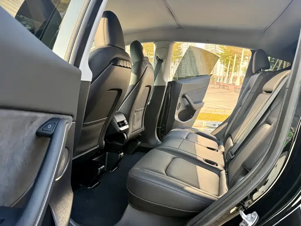 Tesla Model Y 2023 из CN, фото 6
