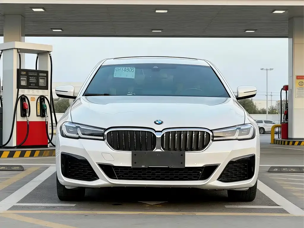 BMW 5 Series 2022 из CN, фото 6
