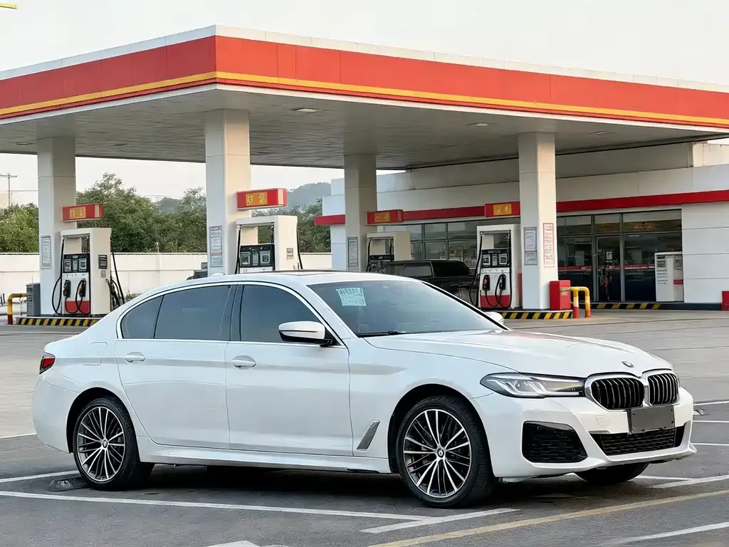 BMW 5 Series 2022 из CN, фото 8