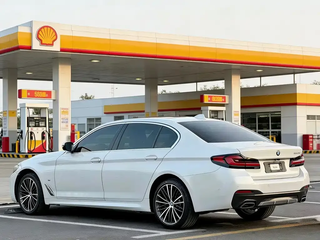 BMW 5 Series 2022 из CN, фото 2