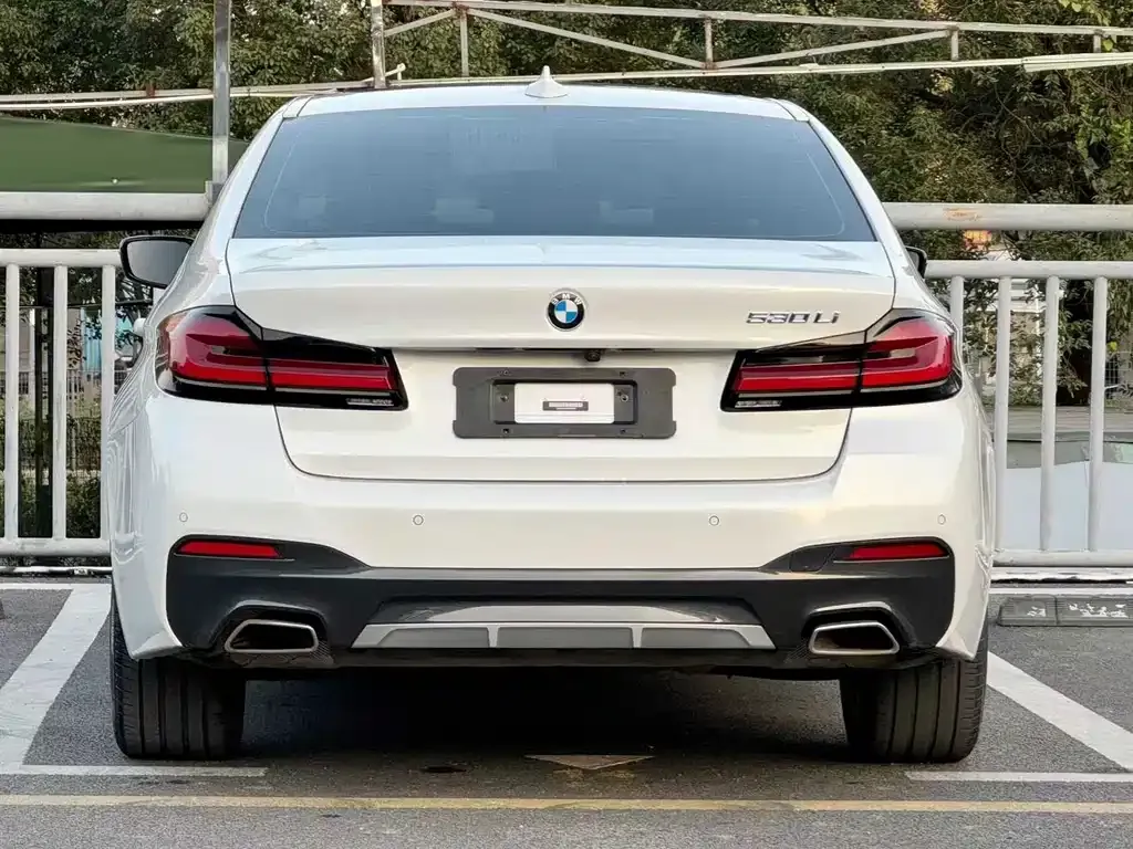 BMW 5 Series 2022 из CN, фото 9