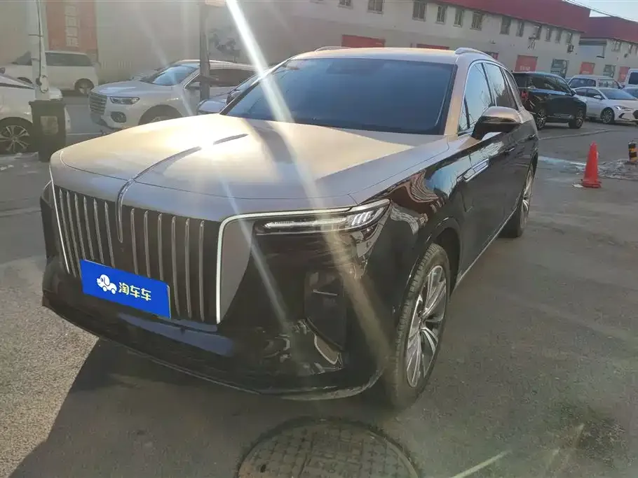 Hongqi E-HS9 2023 из CN, фото 1