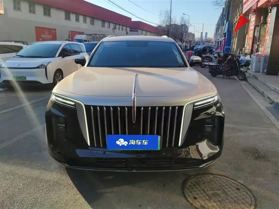 Hongqi E-HS9 2023 из CN, фото 8
