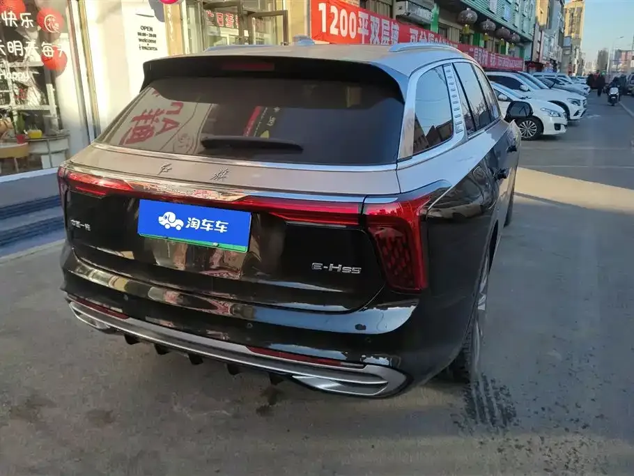 Hongqi E-HS9 2023 из CN, фото 4