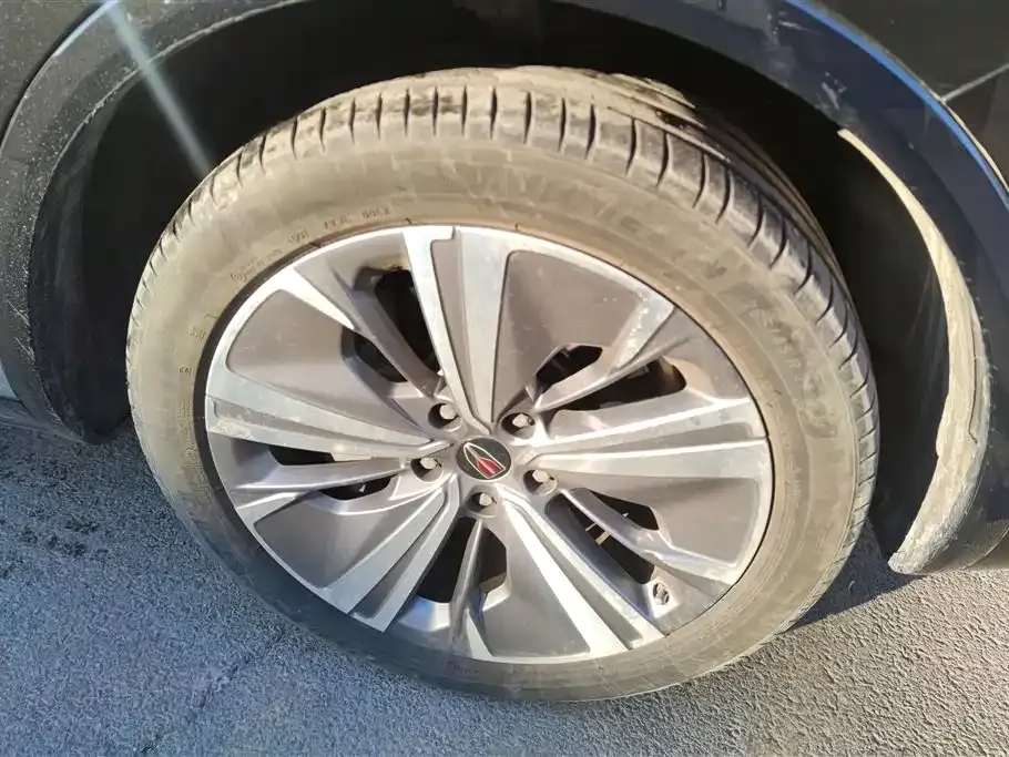 Hongqi E-HS9 2023 из CN, фото 10