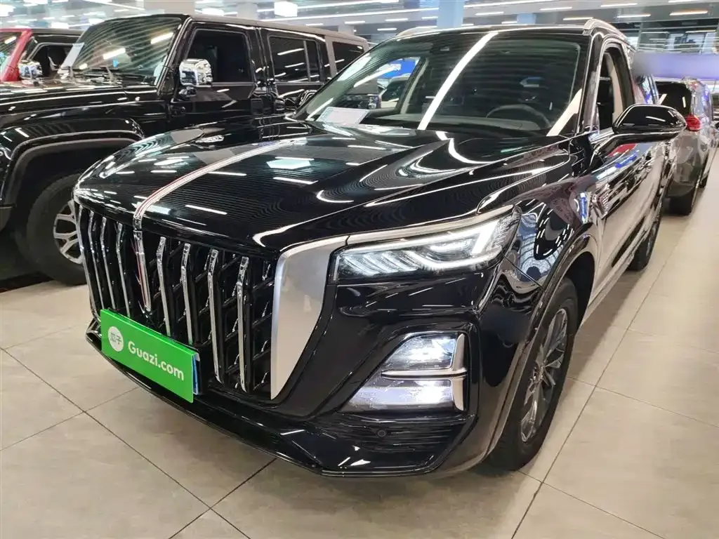 Hongqi HS5 2023 из CN, фото 9