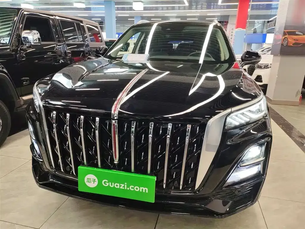 Hongqi HS5 2023 из CN, фото 10
