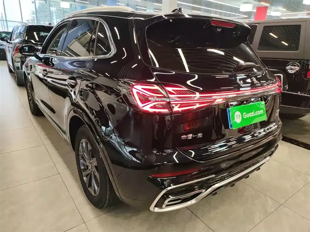 Hongqi HS5 2023 из CN, фото 6