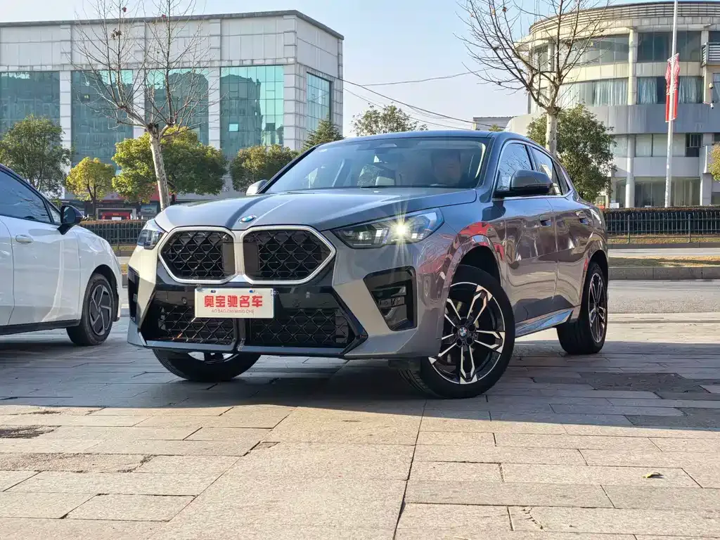 BMW X2 (Import) 2024 из CN, фото 1