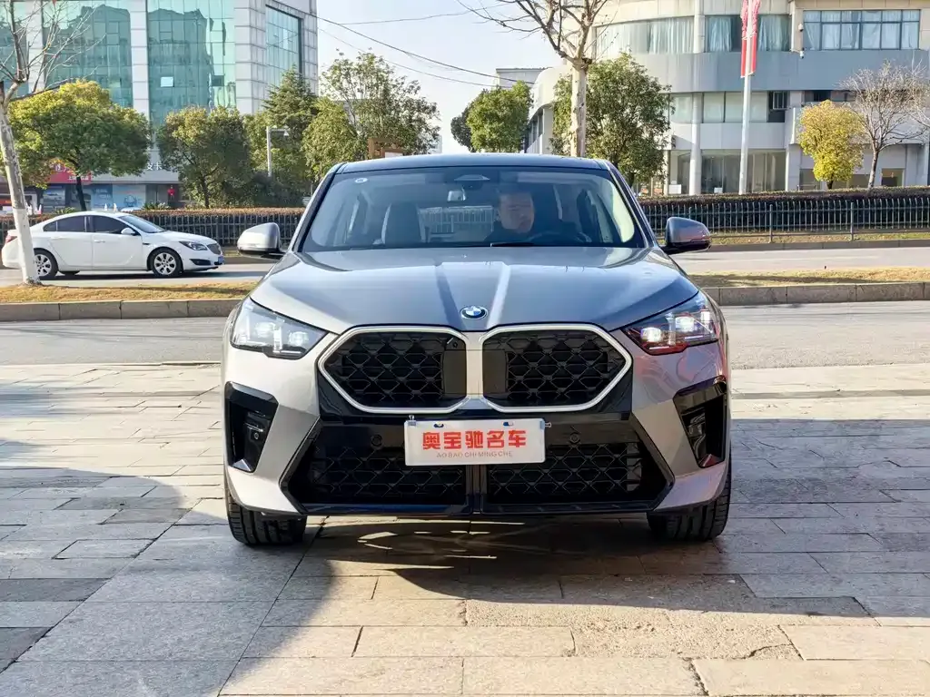 BMW X2 (Import) 2024 из CN, фото 10
